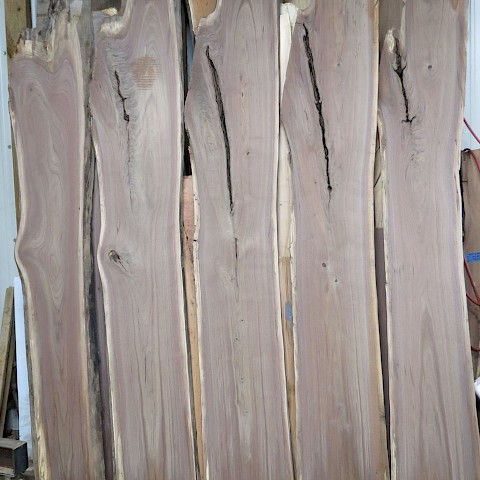 Back side of bookmatch walnut slabs, 14-20" wide, 10 ft long, face jointed and sanded to 2" thick.  9/6/21