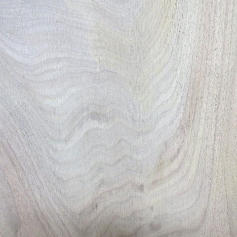 Close up of figure in lastest walnut pieces.   9/9/21