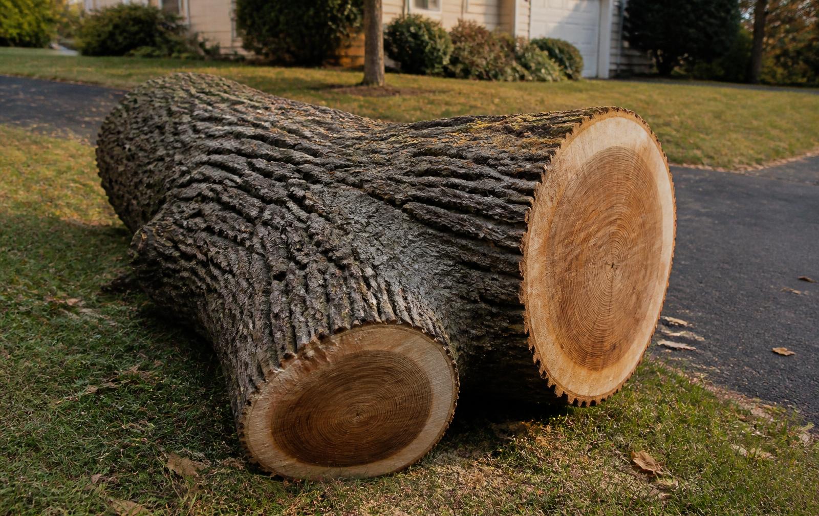 Reclaimed hardwood log brought to John's Whitmore Lake yard