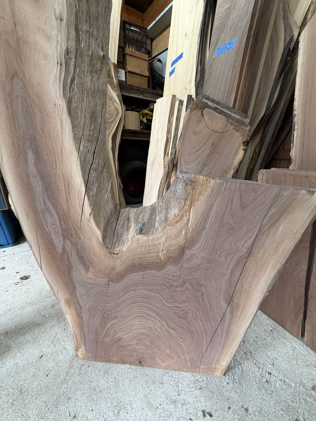 Bookmatched live-edge black walnut slabs in the Whitmore Lake shop